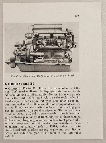 1950 rivista foto gatto motori